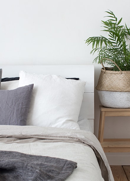 hvhc-shalom-gardens-deluxe-studio-bay-window-image